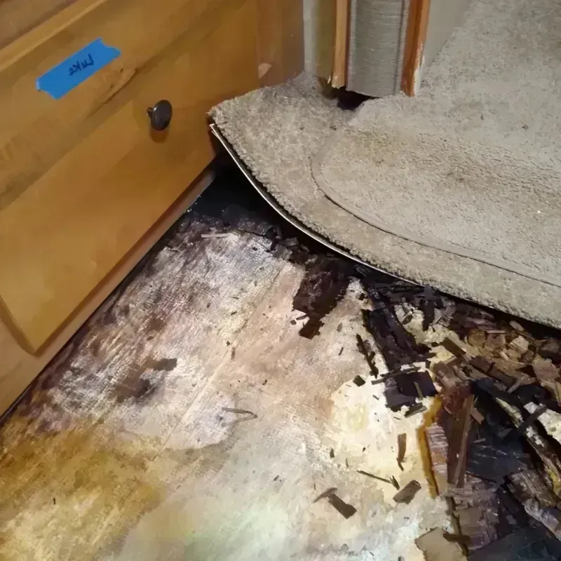 Wood Floor Water Damage in Brookmont, MD